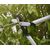 Сучкорез плоскостной Fiskars PowerGear LX92 малый черный/оранжевый (1020186) 