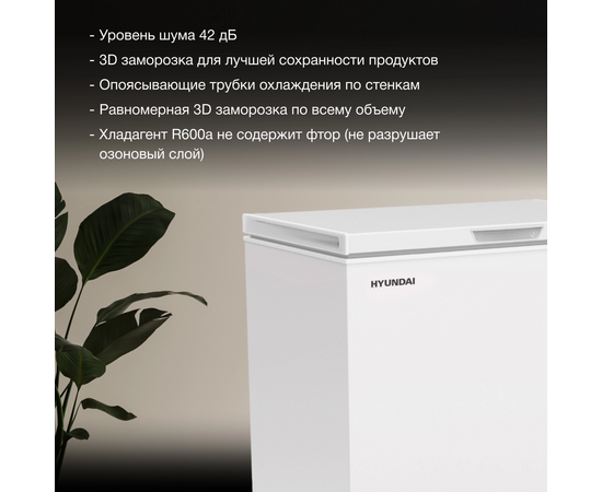  Морозильный ларь Hyundai CH25081 белый 