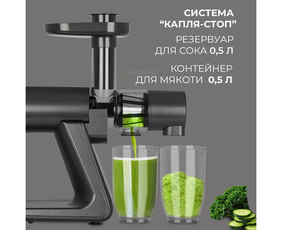  Соковыжималка шнековая Rondell RDE-1503 графит 