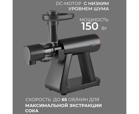  Соковыжималка шнековая Rondell RDE-1503 графит 